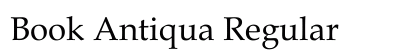 Book Antiqua Regular Preview