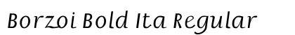 Borzoi Bold Ita Regular preview