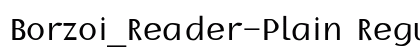 Borzoi_Reader-Plain Regular preview