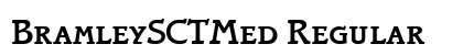BramleySCTMed Regular preview