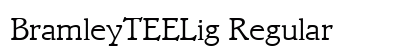 BramleyTEELig Regular preview