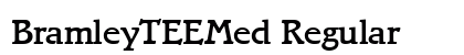 BramleyTEEMed Regular preview