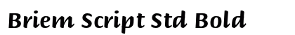 Briem Script Std Bold Preview
