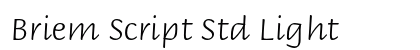 Briem Script Std Light Preview