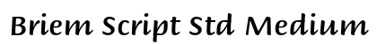 Briem Script Std Medium Preview
