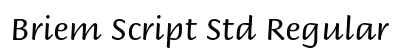 Briem Script Std Regular Preview