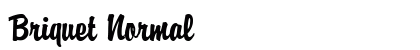 Briquet Normal preview