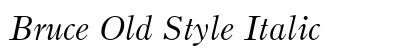 Bruce Old Style Italic preview