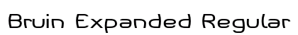 Bruin Expanded Regular preview