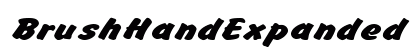 BrushHandExpanded Regular Preview