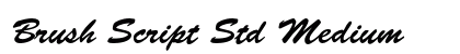 Brush Script Std Medium preview