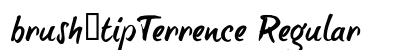 brush-tipTerrence Regular preview