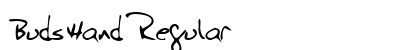 BudsHand Regular preview