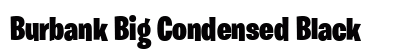 Burbank Big Condensed Black preview