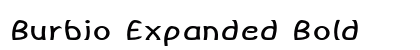 Burbio Expanded Bold Preview