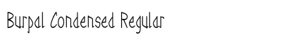 Burpal Condensed Regular Preview