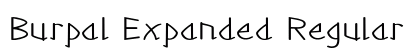 Burpal Expanded Regular preview
