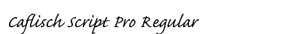 Caflisch Script Pro Regular preview