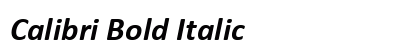 Calibri Bold Italic Font