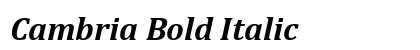 Cambria Bold Italic Preview