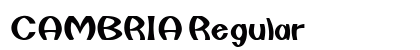 CAMBRIA Regular Preview
