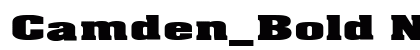 Camden_Bold Normal preview