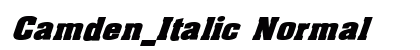 Camden_Italic Normal preview