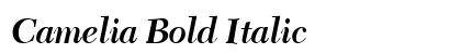 Camelia Bold Italic Preview