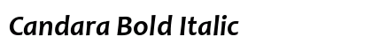 Candara Bold Italic Preview