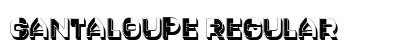 Cantaloupe Regular preview