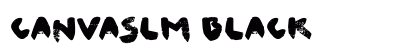 Canvaslm Black preview