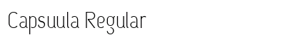 Capsuula Regular preview