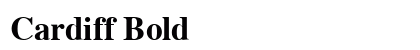 Cardiff Bold preview