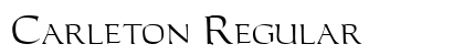 Carleton Regular preview