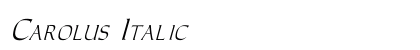 Carolus Italic Preview