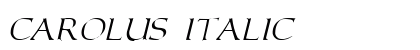 Carolus Italic Preview