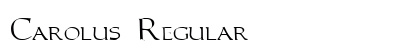 Carolus Regular Preview