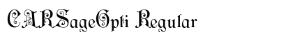 CARSageOpti Regular preview