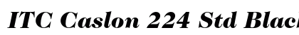 ITC Caslon 224 Std Black Italic Preview