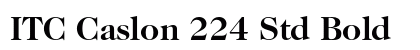 ITC Caslon 224 Std Bold preview