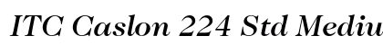 ITC Caslon 224 Std Medium Italic Preview