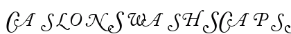 CaslonSwashSCapsSSK Italic preview