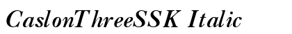 CaslonThreeSSK Italic preview