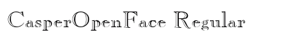 CasperOpenFace Regular Preview