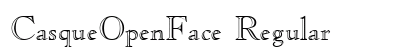 CasqueOpenFace Regular preview