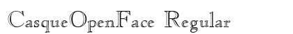 CasqueOpenFace Regular preview