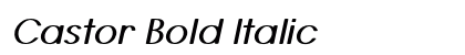 Castor Bold Italic Preview