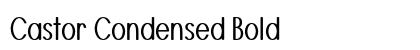 Castor Condensed Bold Preview