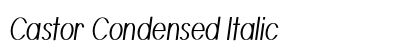 Castor Condensed Italic Preview