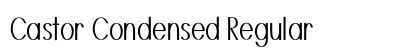Castor Condensed Regular Preview